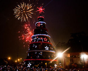 Christmas tree set up in Sao Paulo, Brazil